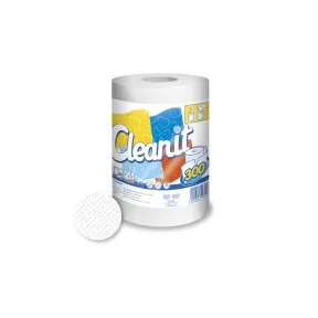 CLEANIT 300